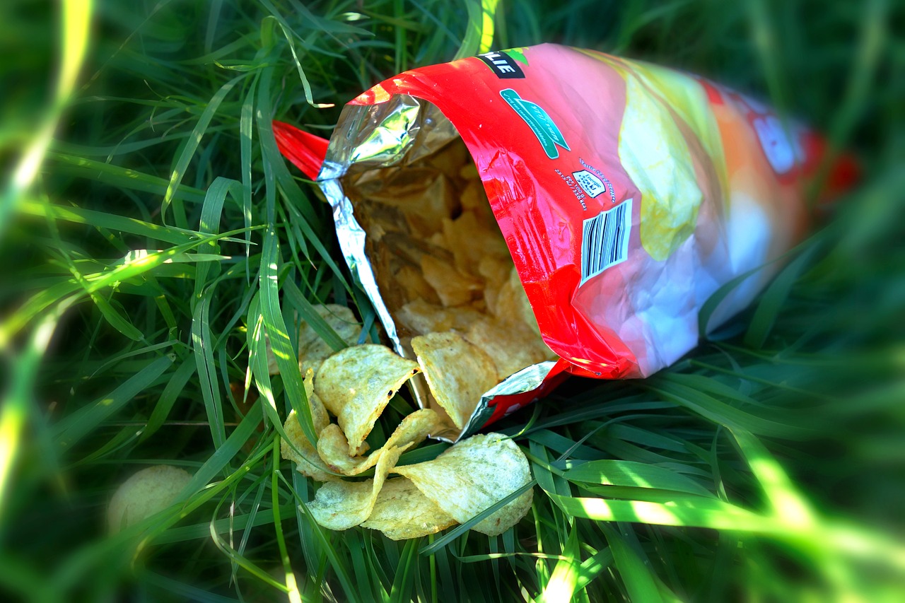 有機(jī)垃圾資源化  